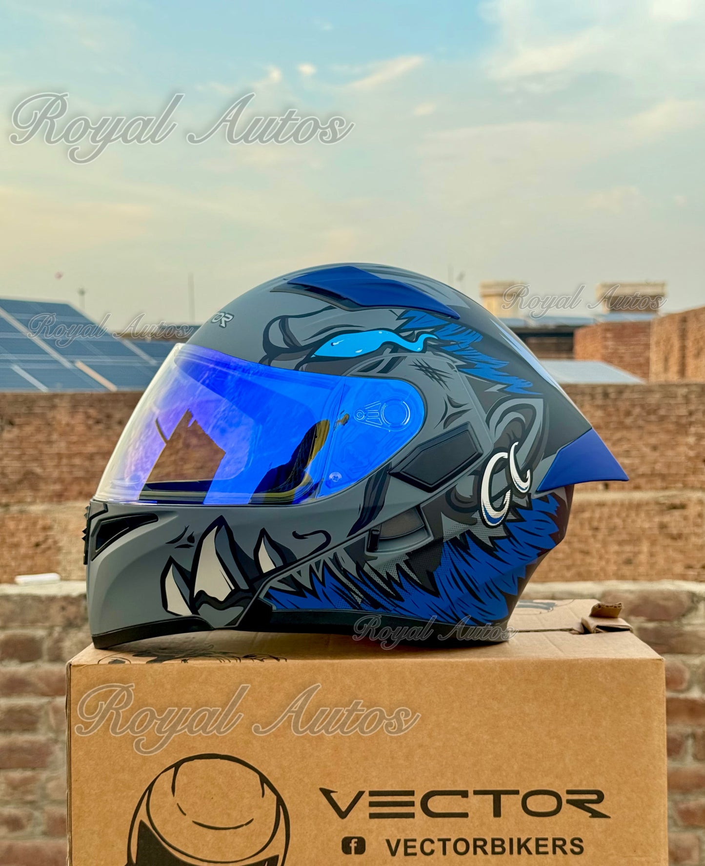 Vector 254 Prime Blue Monster with Polarise Visor  DOT certified Helmet Modular helmet